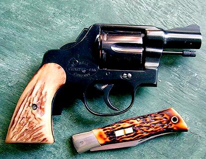 bone handle pistol