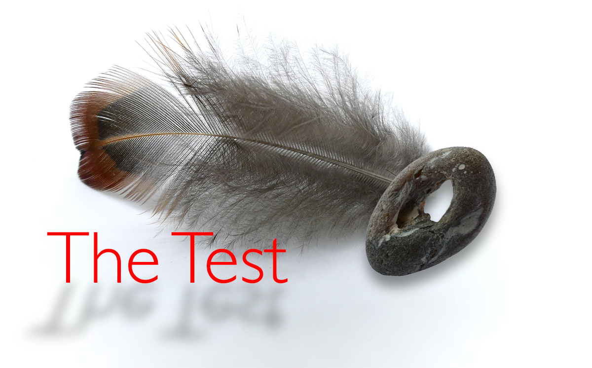 The Test