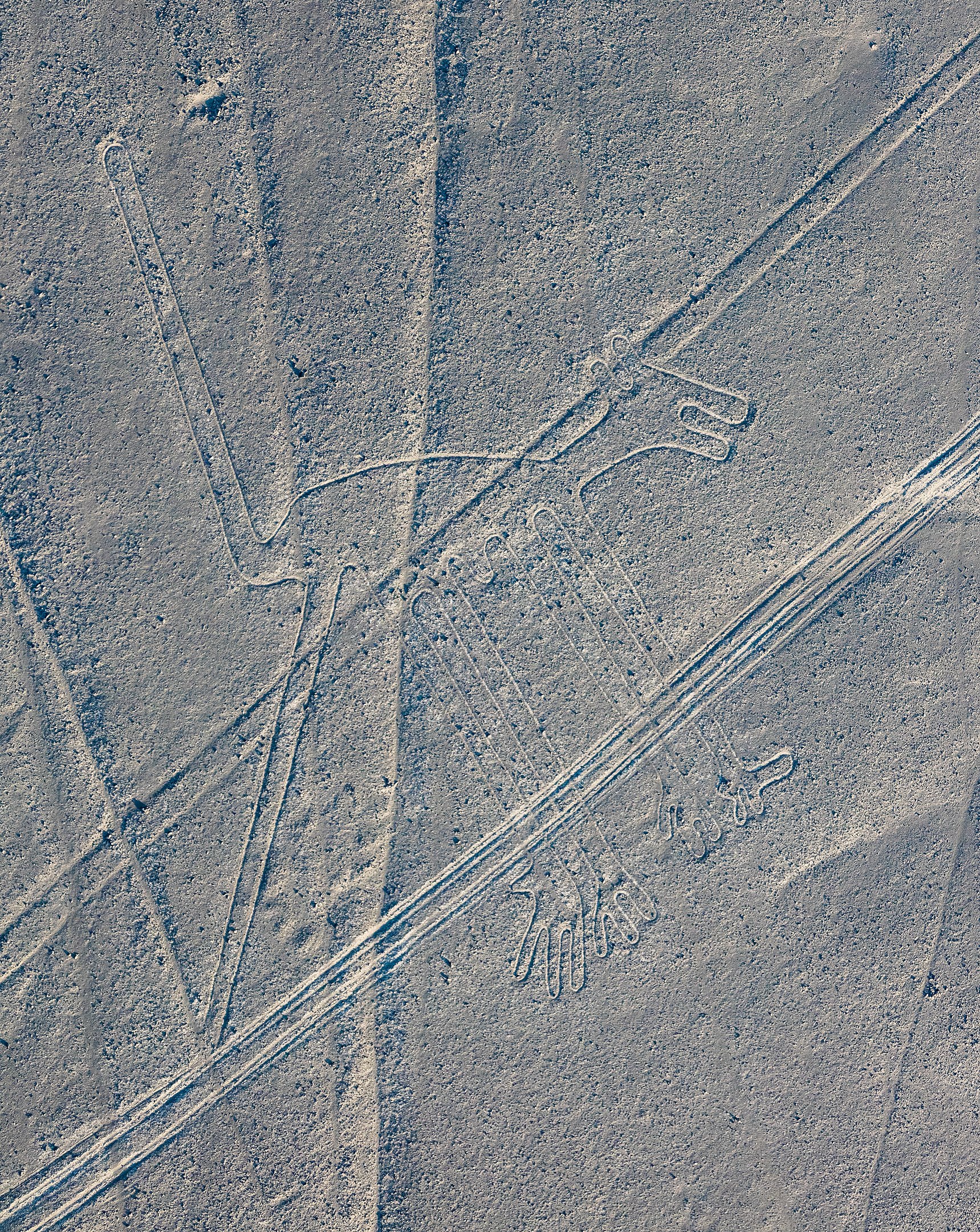 Líneas de Nazca