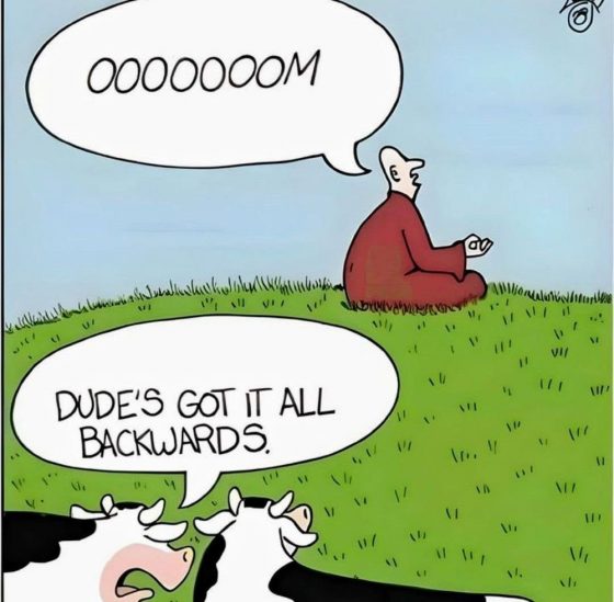 he got it all wrong